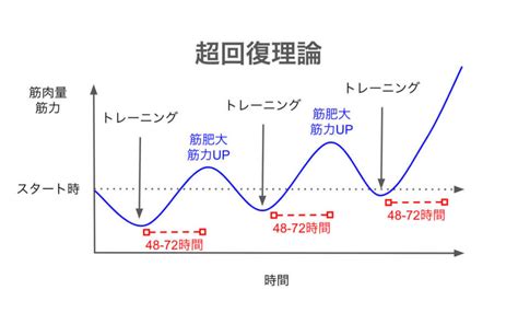 超回復 部位|筋肉の【超回復】と【部位別の回復時間】。